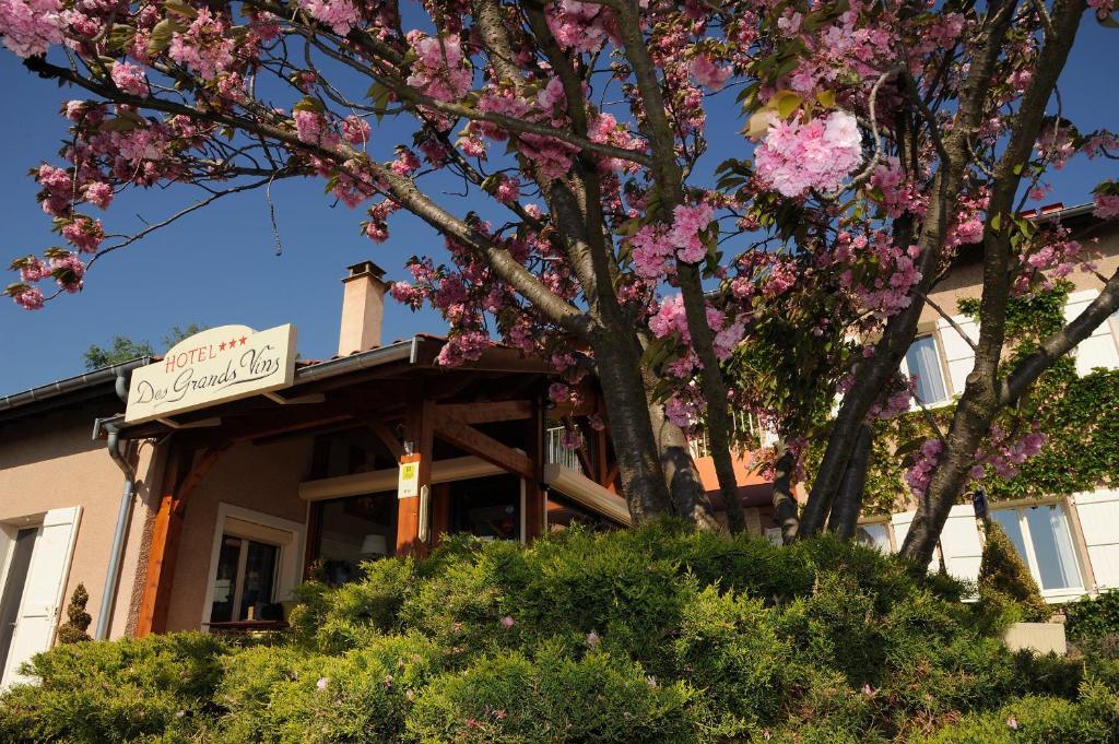 Logis Hotel Des Grands Vins Fleurie Exterior foto