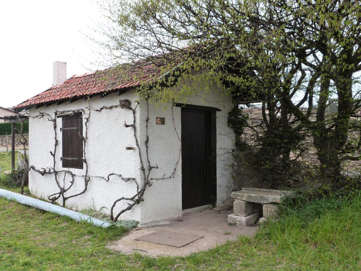 Logis Hotel Des Grands Vins Fleurie Exterior foto